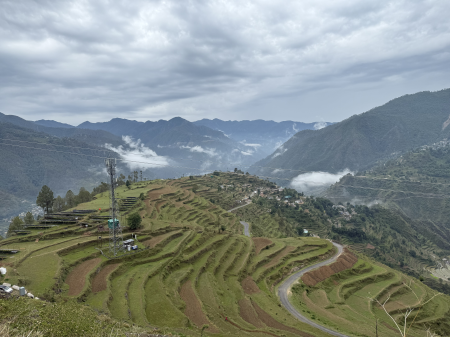 Step farming