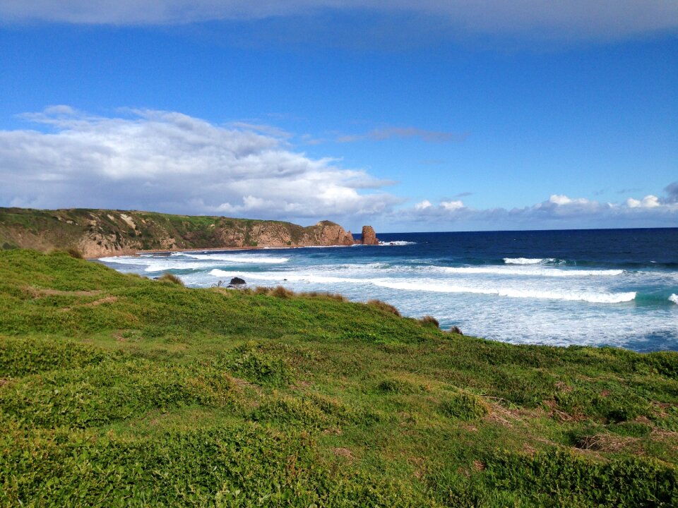 Sea coastline rock