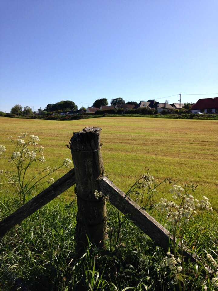 Rural grass green photo