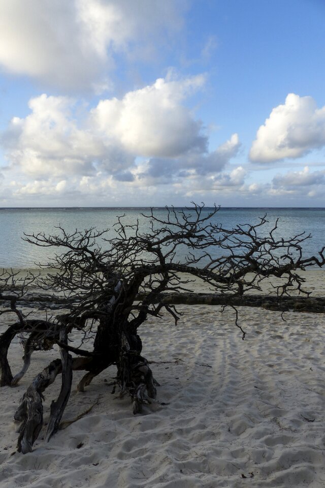 Clouds sandy beach nature