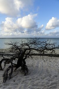 Clouds sandy beach nature