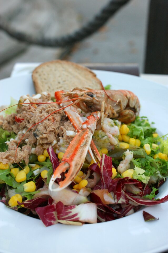 Tuna bread healthy