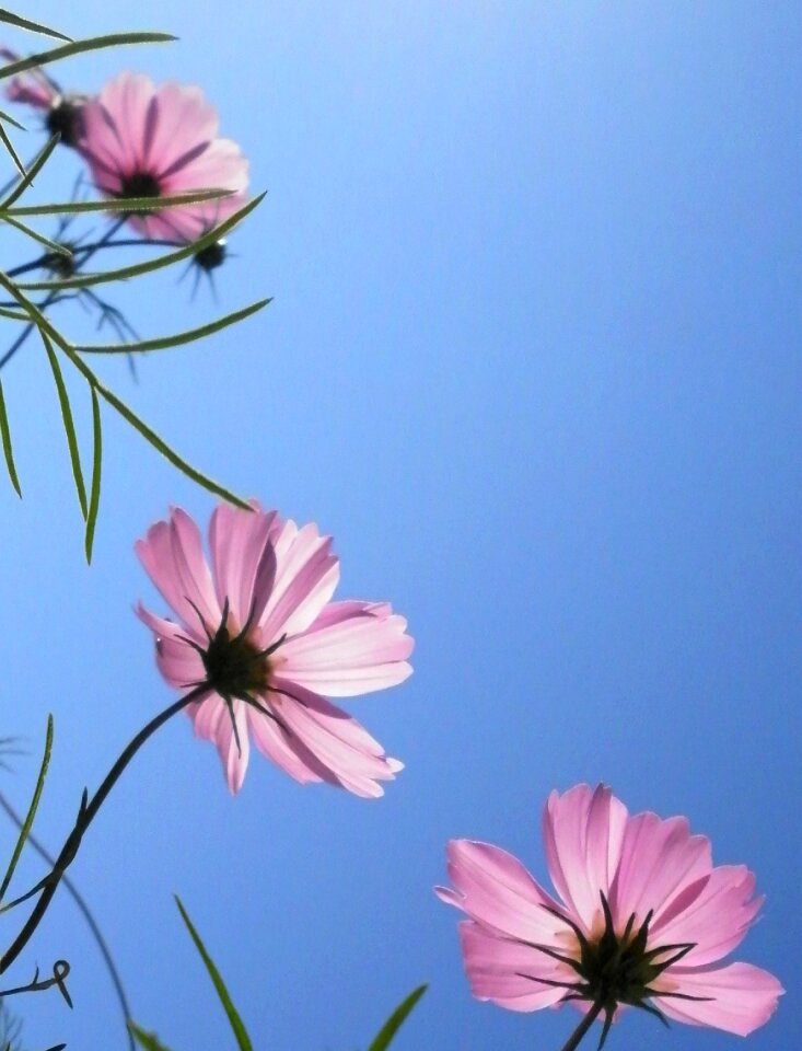 Sky blue mood