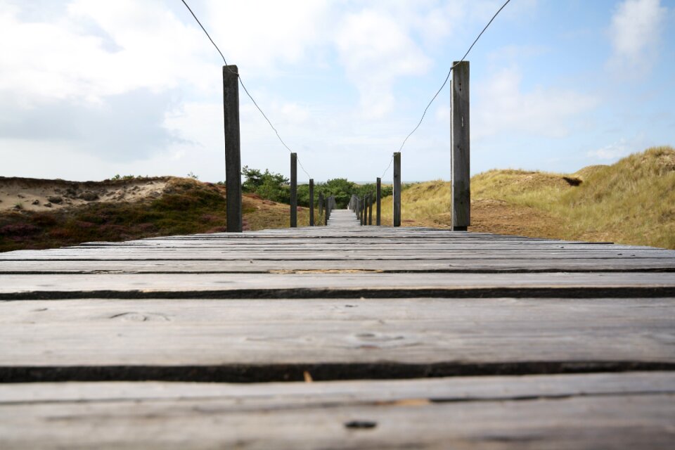Amrum nordfriesland island