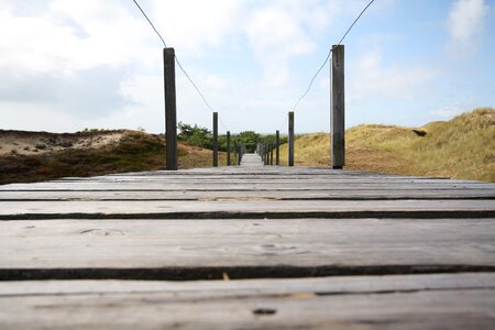 Amrum nordfriesland island
