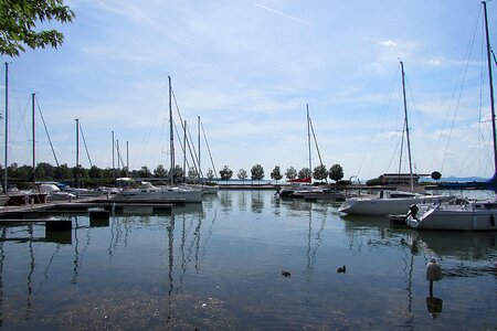 Sail masts boat masts marina photo