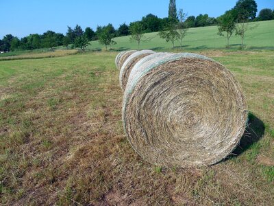 Stubble summer agriculture