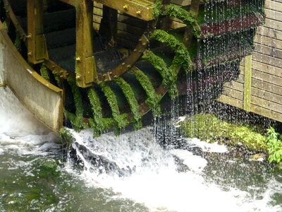 Copper mill green algae flow