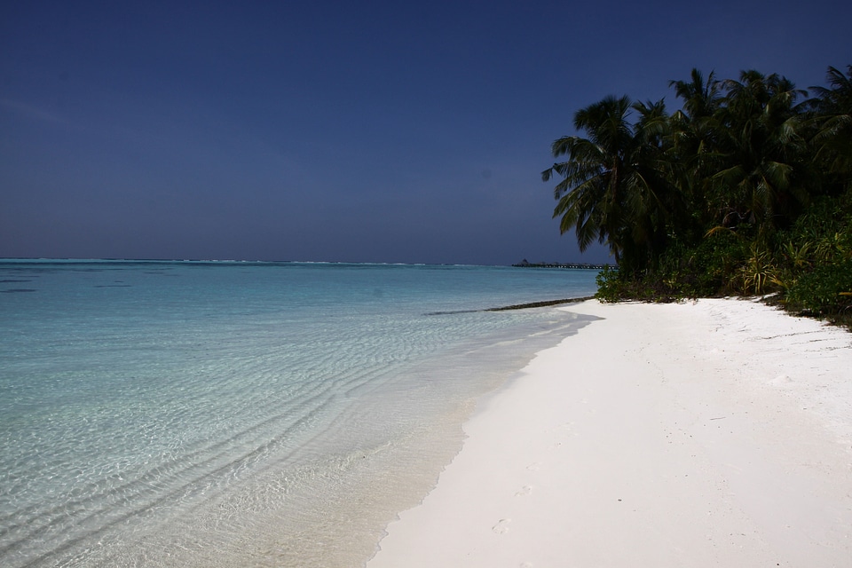 Water sea beach photo