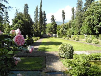 Garden landscape panorama
