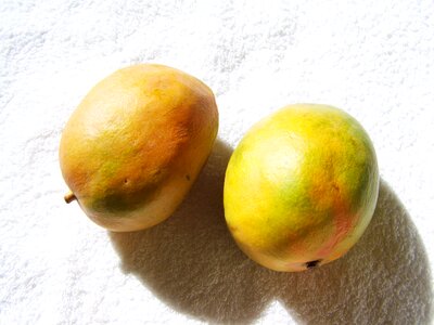Yellowish-green mango fruit food photo