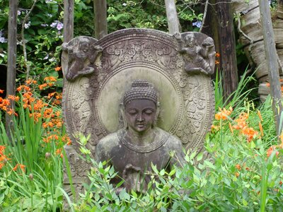 Buddha buddhism religion photo