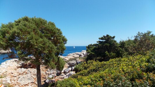 Sea vacations outlook