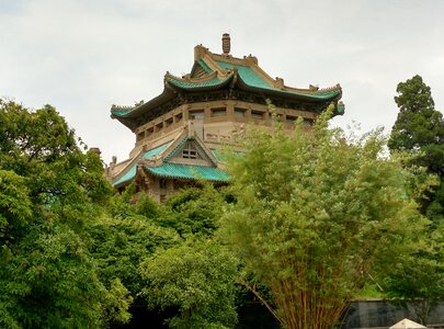 Wuhan university cherry top the old library