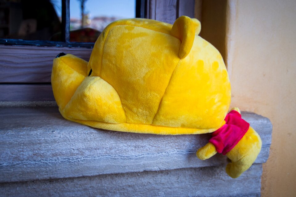 Tokyo winnie the pooh