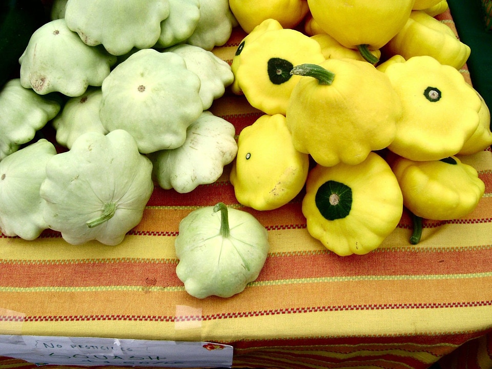 Vegetarian fresh healthy