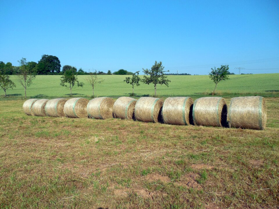 Stubble summer agriculture