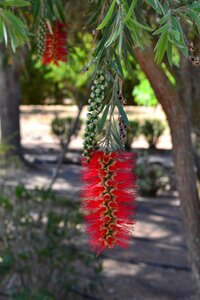 Botanical garden mallorca