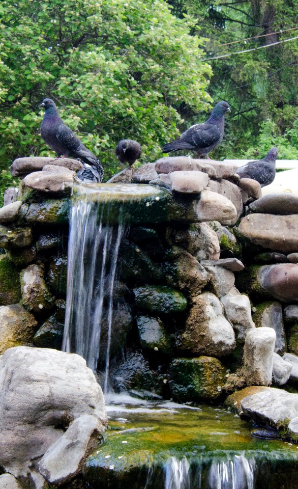 Water summer stone