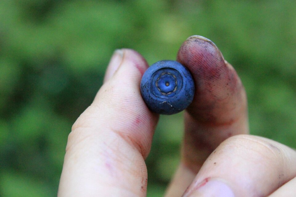 Berry in hand dirty hands food