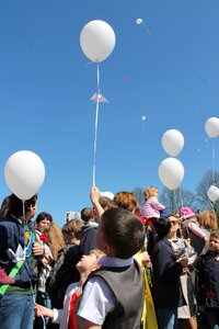 Balls cranes in the sky
