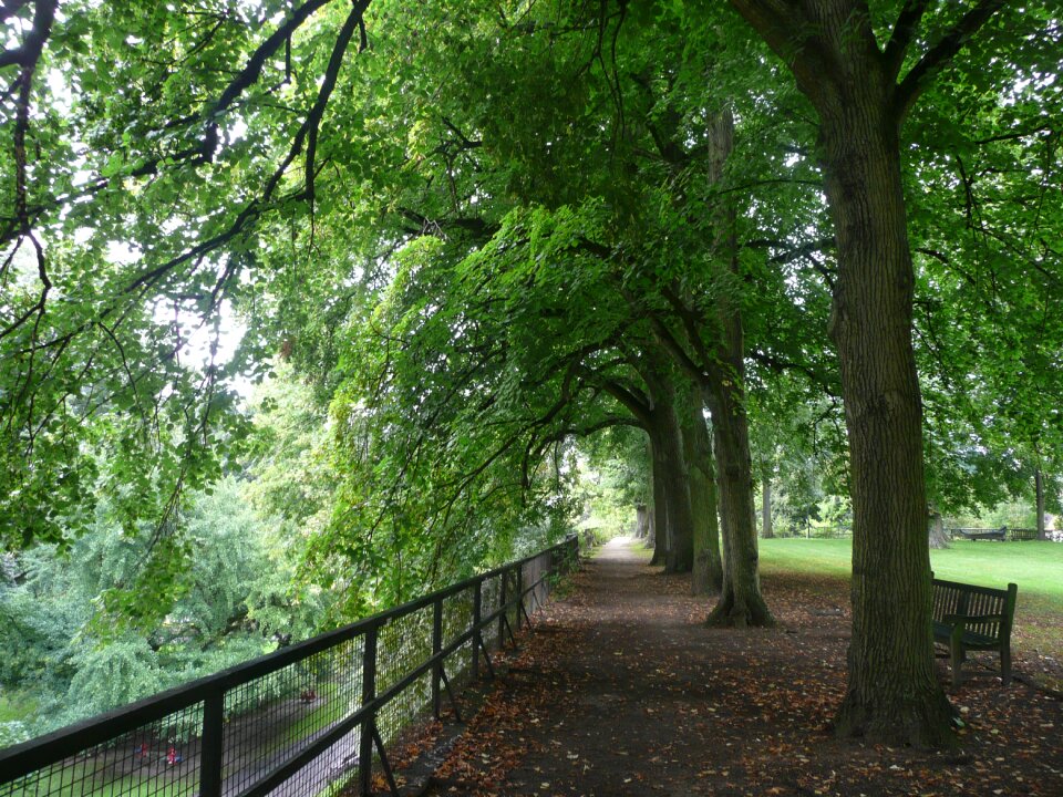 Park path