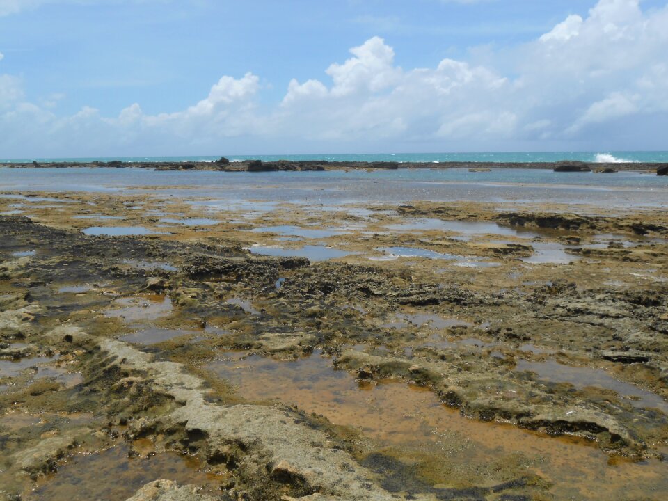 Coral reef stones beach