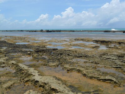 Coral reef stones beach