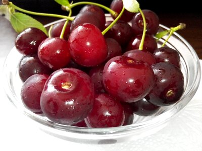 Fresh nature freshness