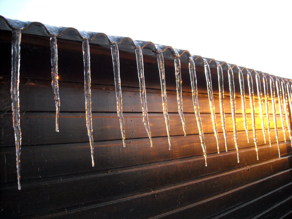 Winter nature frozen