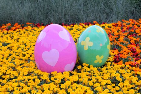 Fun tradition spring