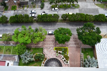 Avenue park trees photo