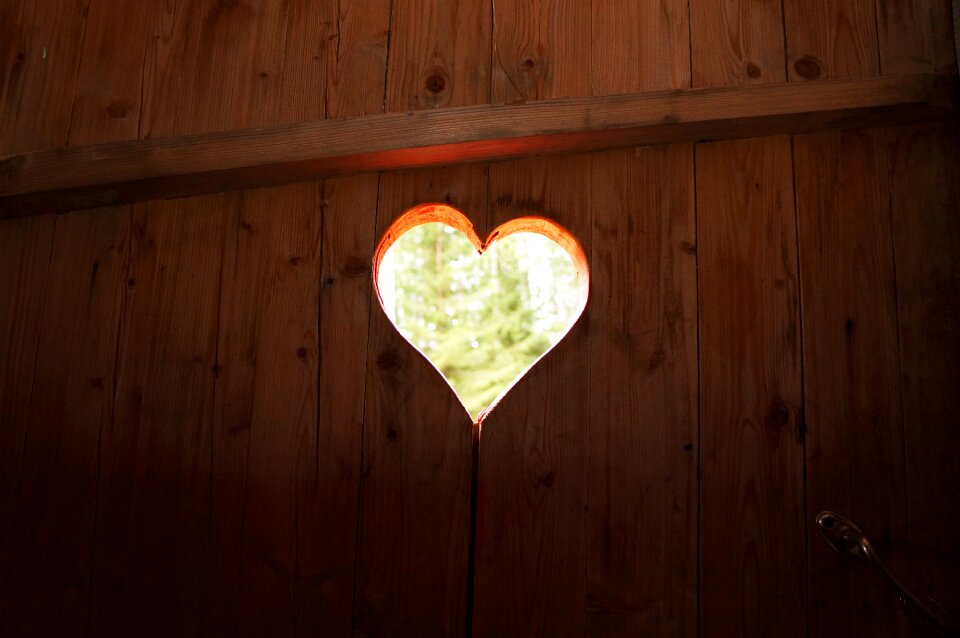 Heart door window