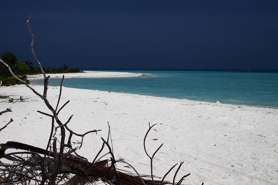 Water sea beach