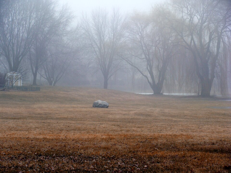 Fog brown rock