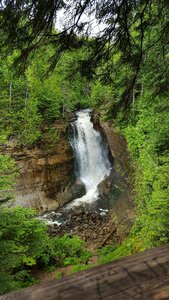 Nature landscape forest