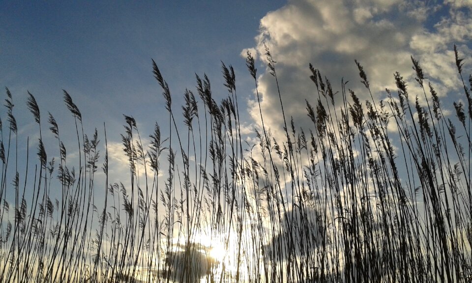 Day s lake waterfront photo