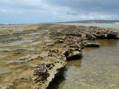 Coral reef maceió mar