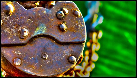 Macro by wlodek closeup