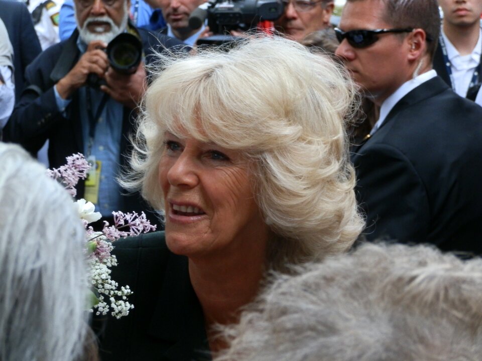 Royal tour british