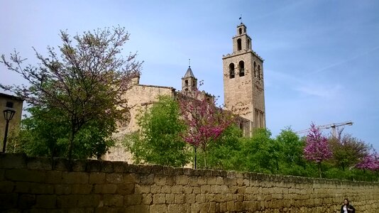 Tapia of the monastery blooming trees lilac trees