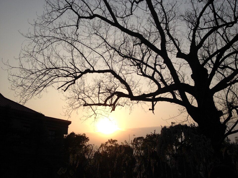 The scenery sunset silhouette