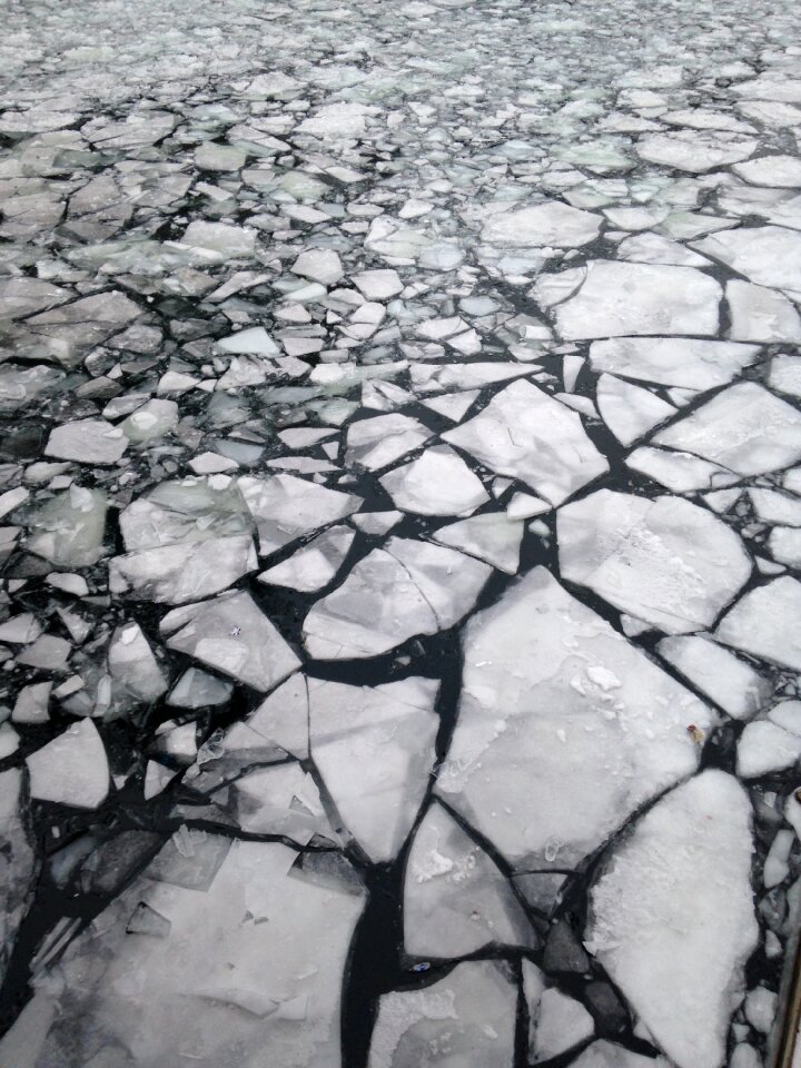Cold nature winter