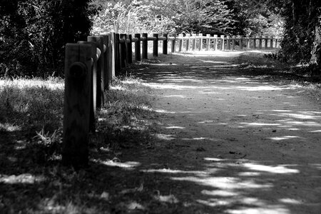 Path outdoor summer