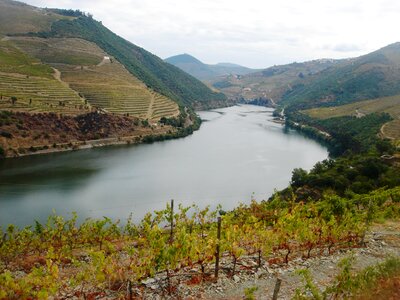 River douro douro vineyards douro landscape photo