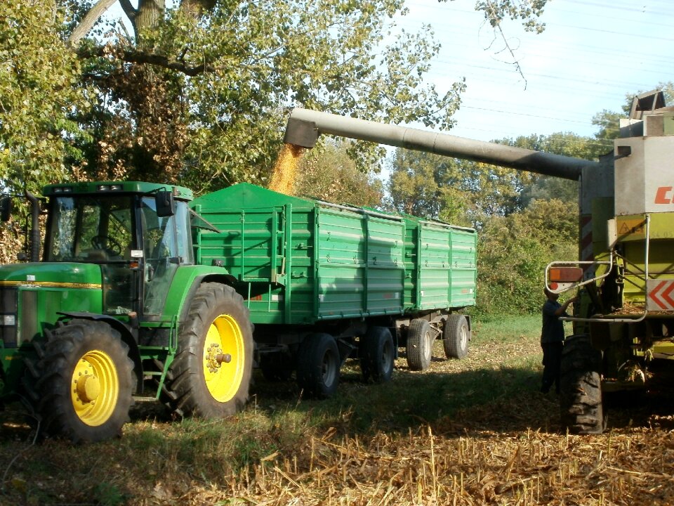 Agriculture fields food