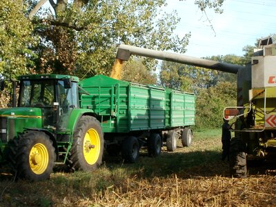 Agriculture fields food photo