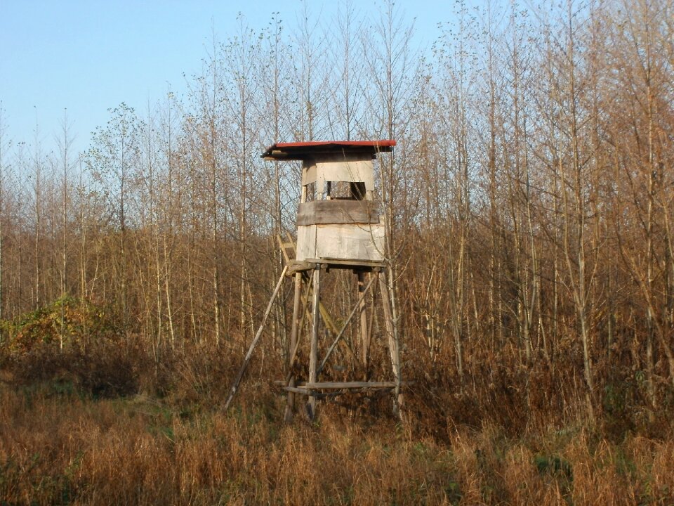 Stand ooking wildlife