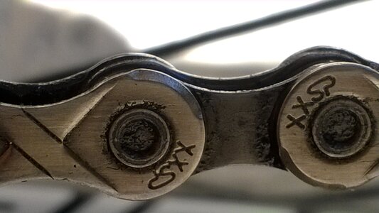 Bike chain horse