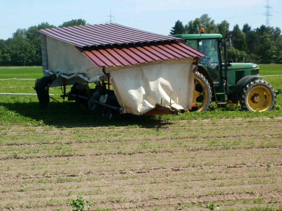 Agriculture cultivation vegetables